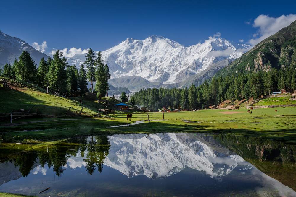 Nanga Parbat